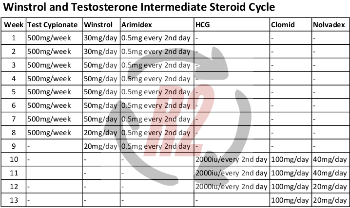 Winstrol and Testosterone Intermediate Steroid Cycle