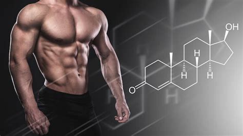 best anabol cycle, where to buy anabol,