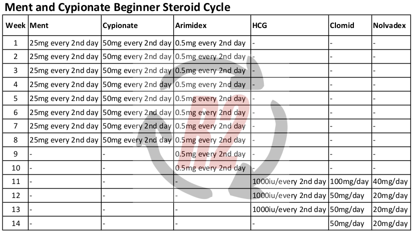 Ment and Cypionate Beginner Steroid Cycle