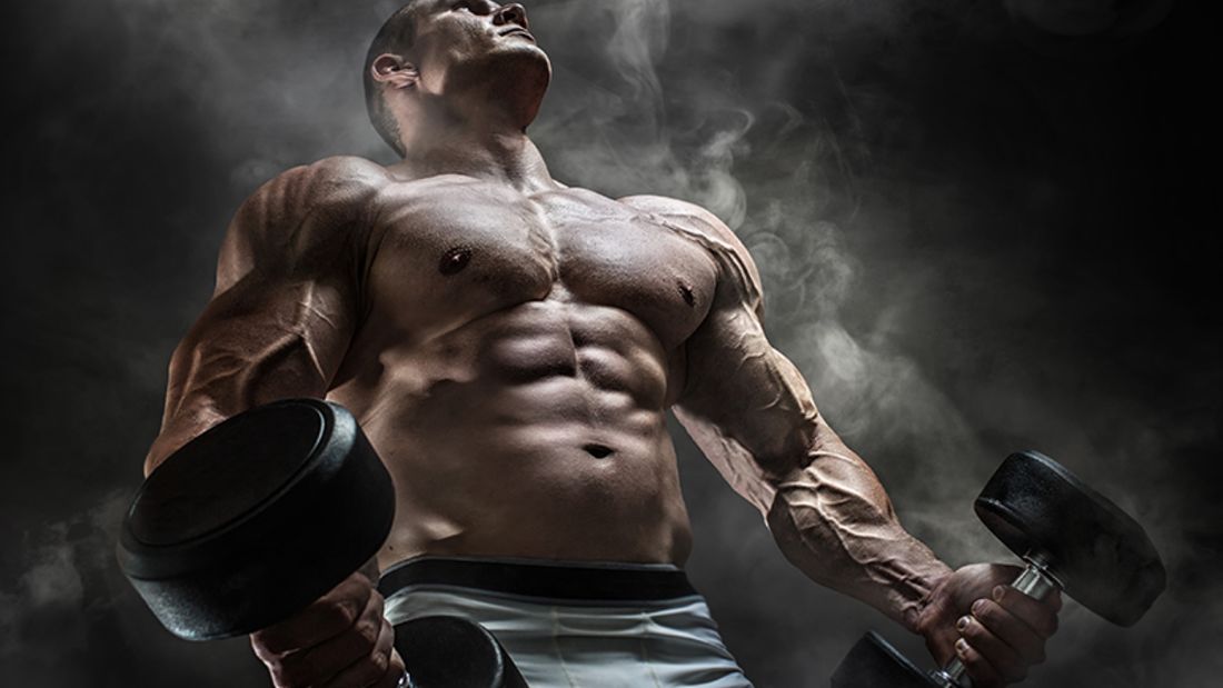 steroid cycle, best steroid cycle for brginners