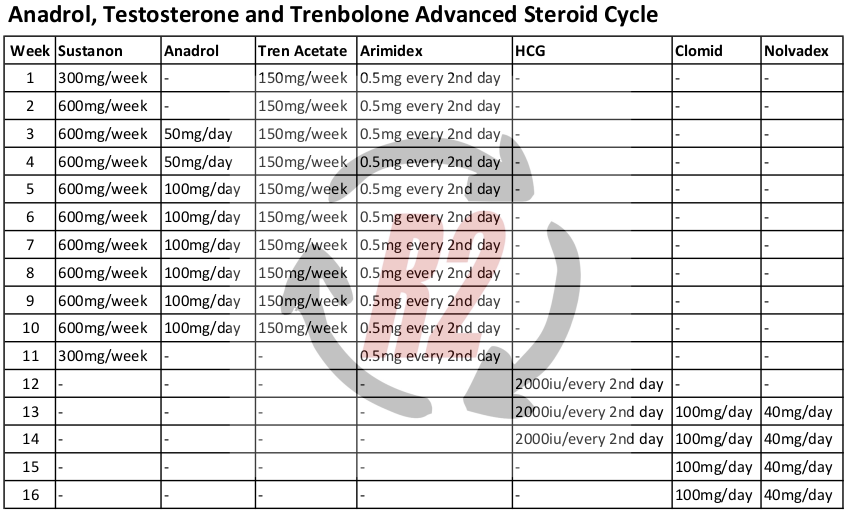 REDCON2.com - Anadrol,Testosteron and Trenbolone Advanced Steroid Cycle