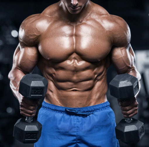 buy Deca online usa, deca durabolin and dianabol steroid cycle, deca dbal dosage, deca dbol results,