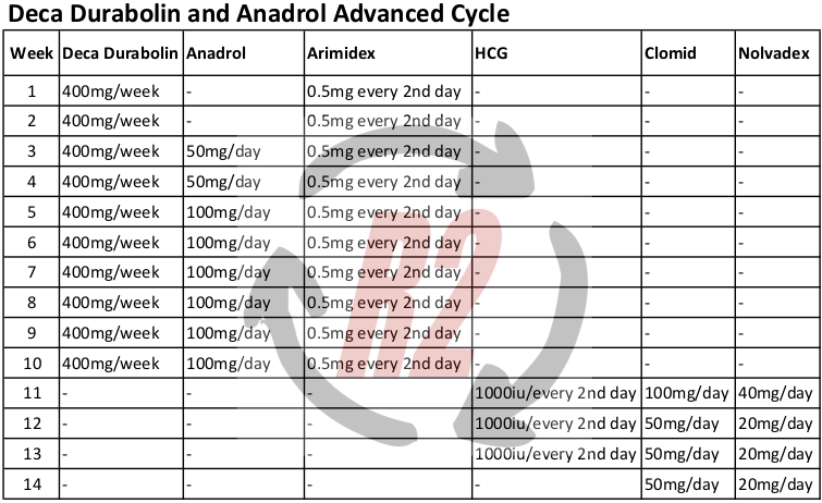 Deca Durabolin and Anadrol Advanced Cycle