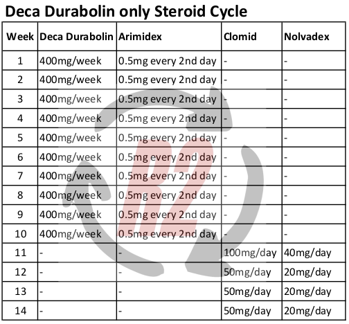 Deca Durabolin only Steroid Cycle