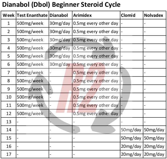 Dianabol (Dbol) Beginner Cycle