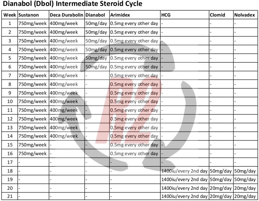Dianabol Intermediate Cycle