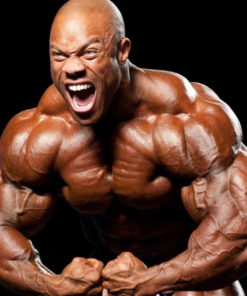 Dianabol Intermediate Steroid Cycle Full Guide