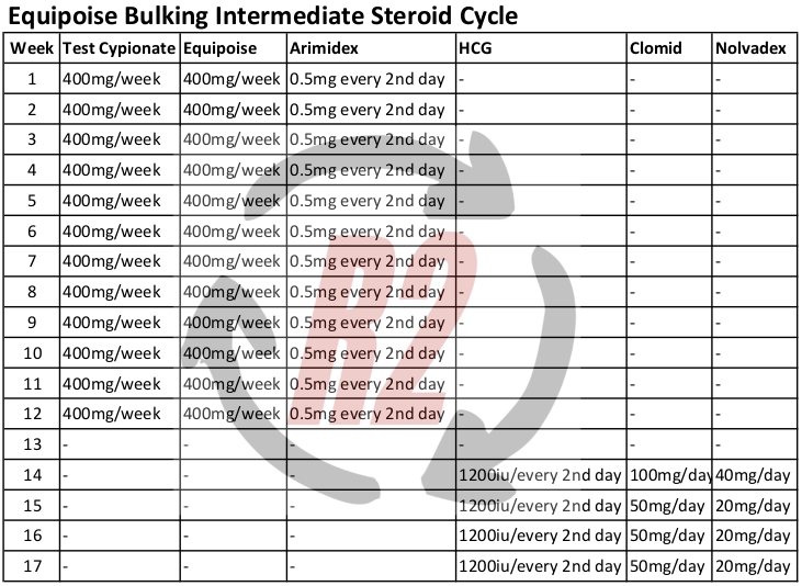 Equipoise Bulking Intermediate Steroid Cycle