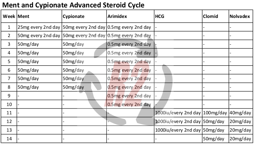 Ment and Cypionate Advanced Steroid Cycle
