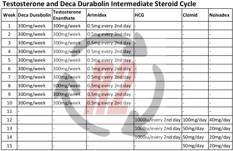 Testosterone and Deca Durabolin Intermediate Steroid Cycle