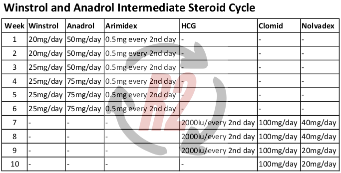 Winstrol and Anadrol Intermediate Steroid Cycle